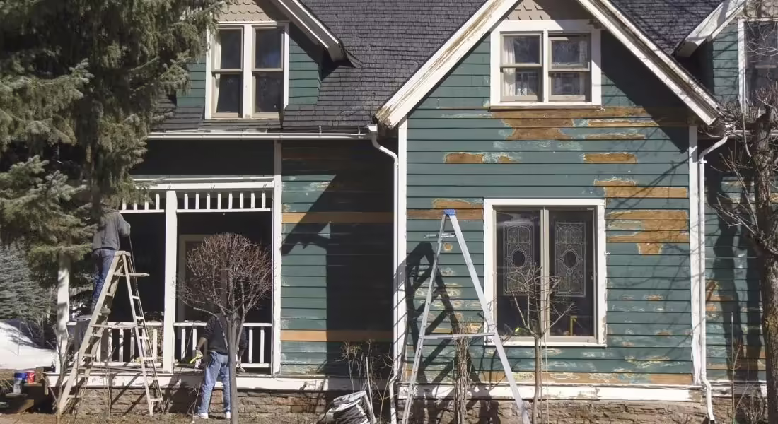 Home Improvement & Maintenance Guide