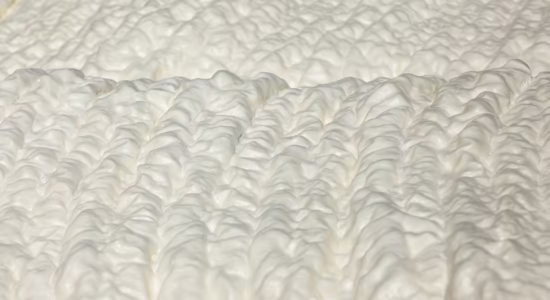 Why Insulation Helps Prevent Mold Growth